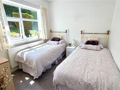 Picture 19